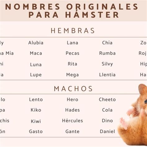 xhamster español